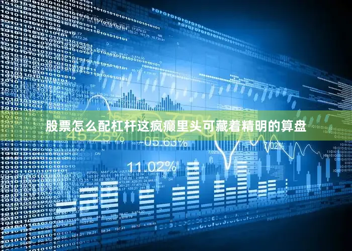 股票怎么配杠杆这疯癫里头可藏着精明的算盘