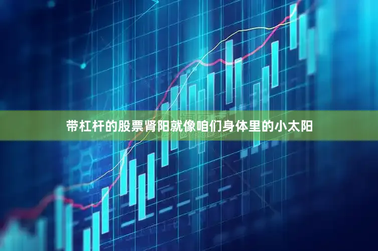 带杠杆的股票肾阳就像咱们身体里的小太阳