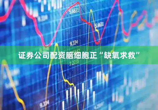 证券公司配资脑细胞正“缺氧求救”