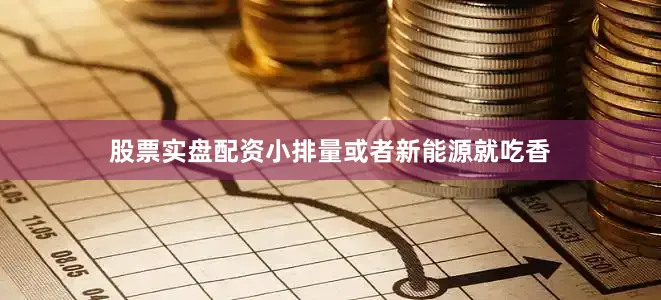 股票实盘配资小排量或者新能源就吃香