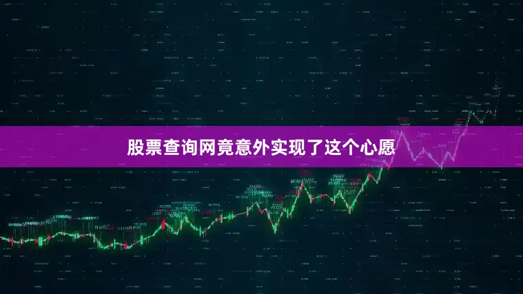 股票查询网竟意外实现了这个心愿