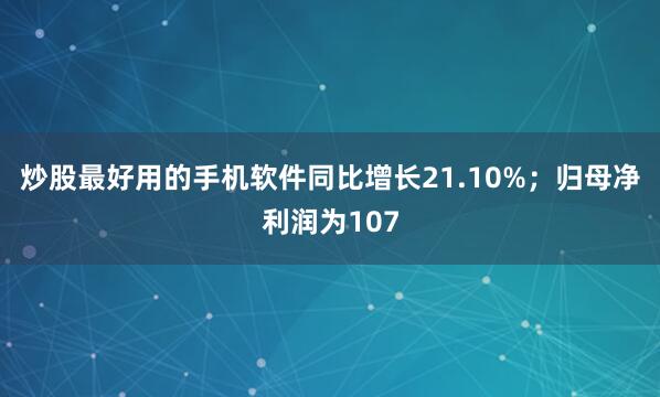 炒股最好用的手机软件同比增长21.10%；归母净利润为107